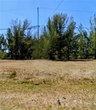 MLS #2025003794 image #0