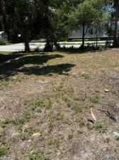 MLS #2025004433 image #0