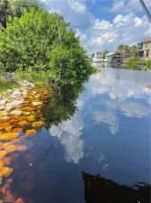 MLS #2025005213 image #0