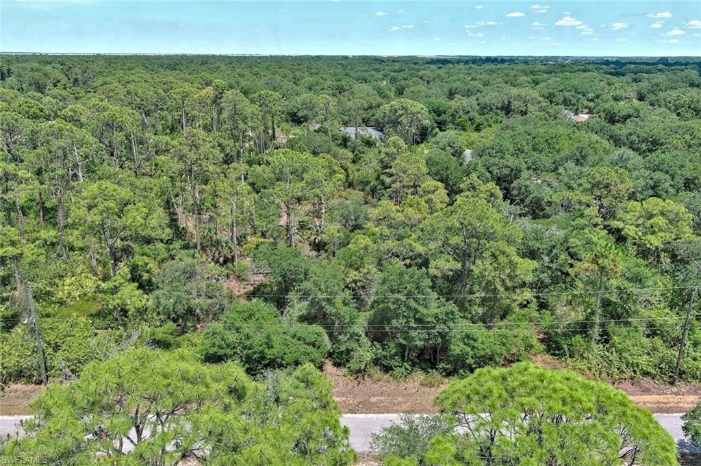 MLS #2025007976 image #0