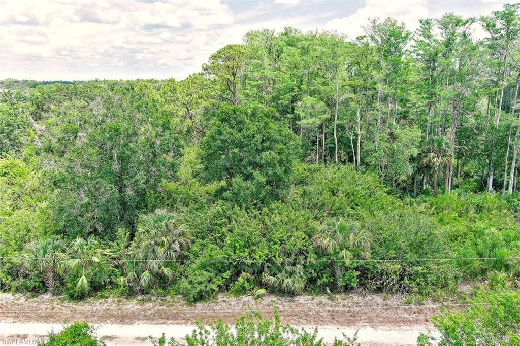 MLS #2025008004 image #0