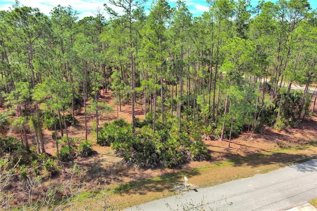 MLS #2025008024 image #0