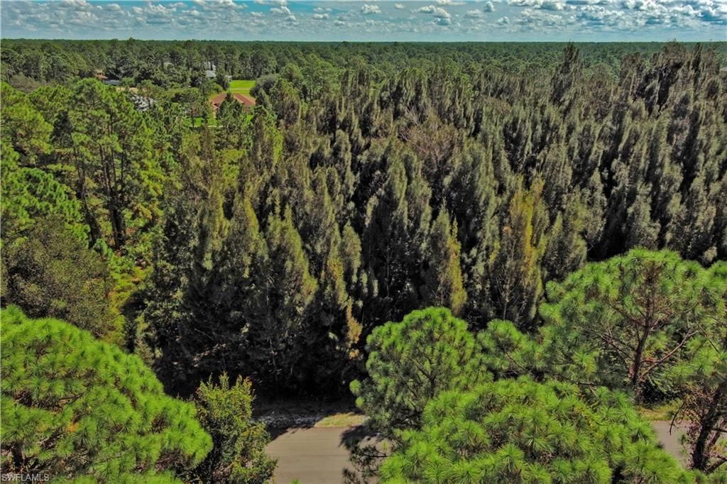 MLS #2025008026 image #0