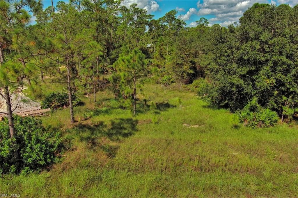 MLS #2025008196 image #0