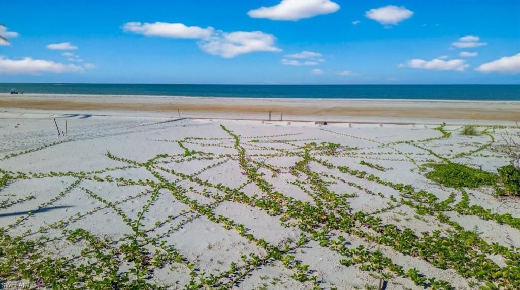 MLS #2025010828 image #0