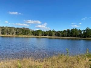 MLS #2025011369 image #0