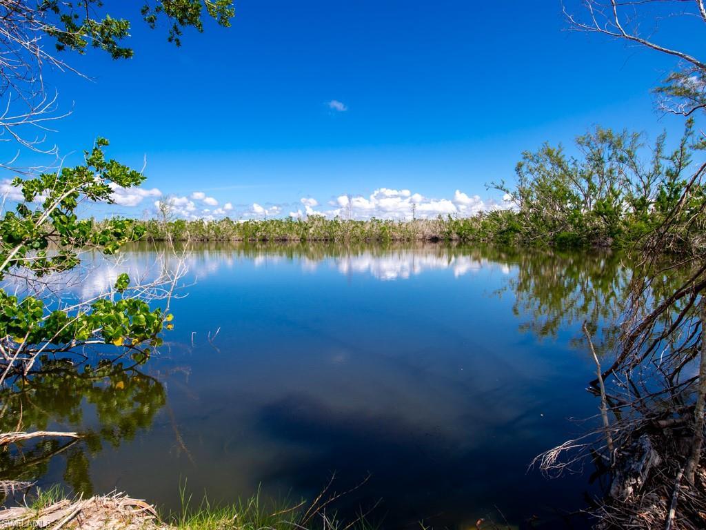 MLS #2025013186 image #0