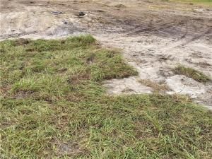 MLS #2025015361 image #0