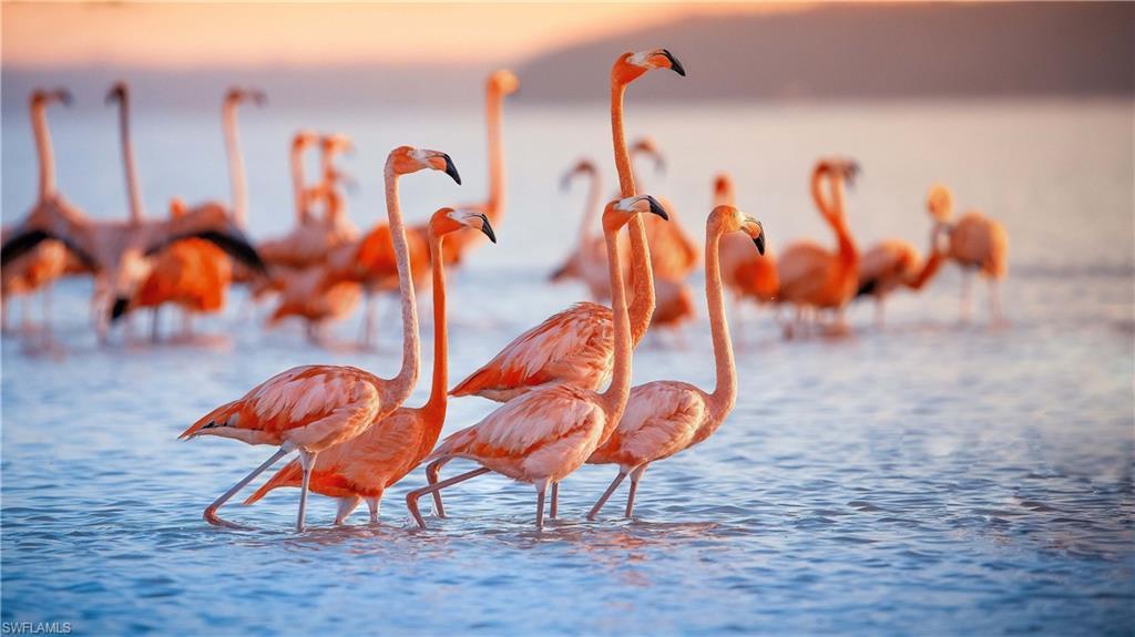 MLS #2025018257 image #0