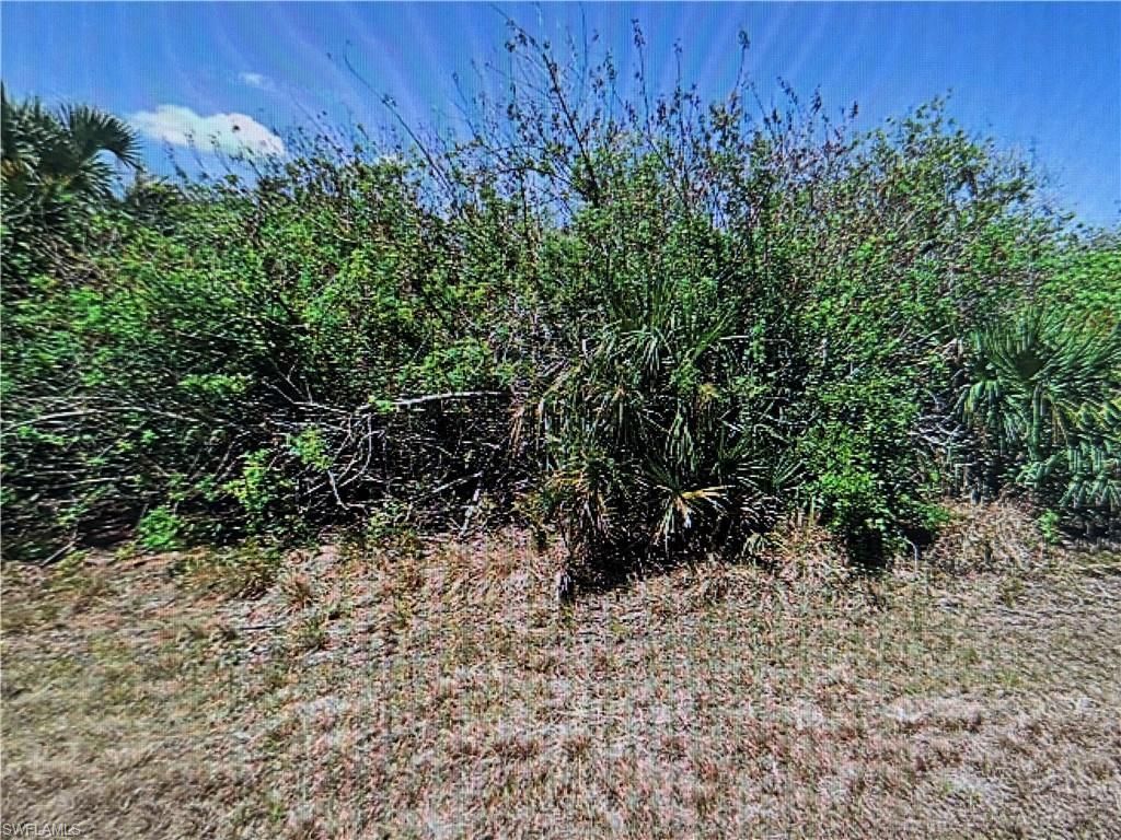 MLS #2025019312 image #0