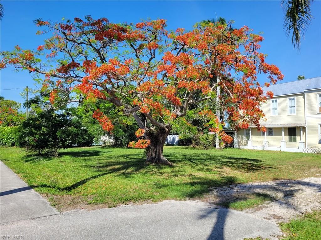 MLS #2025019835 image #0