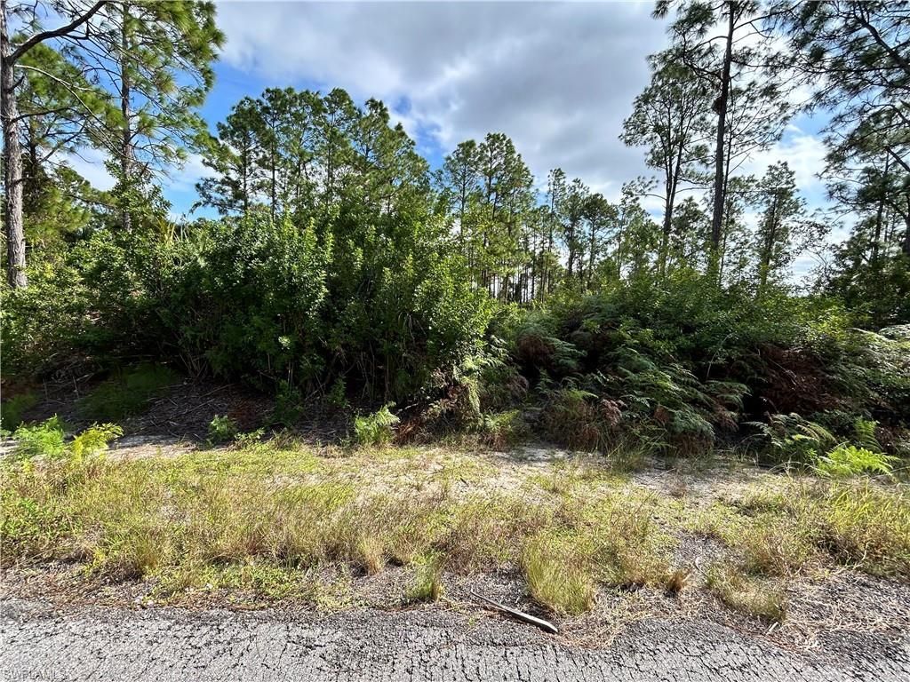 MLS #2025019952 image #0