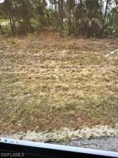 MLS #2025020132 image #0