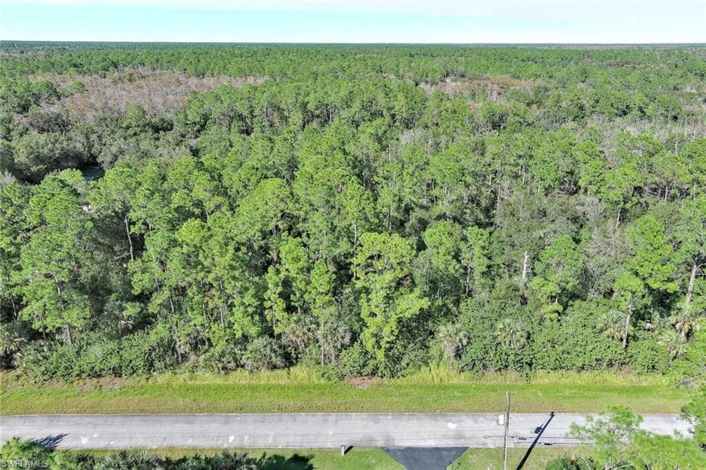 MLS #2025021163 image #0