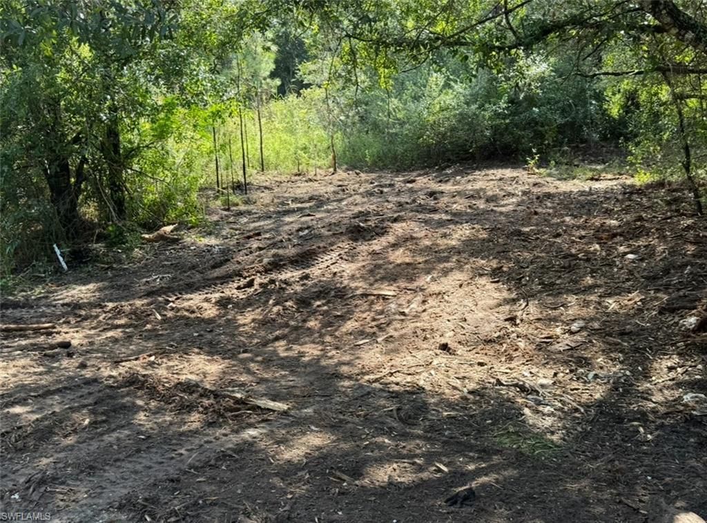 MLS #2025021233 image #0