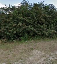 MLS #2025021347 image #0