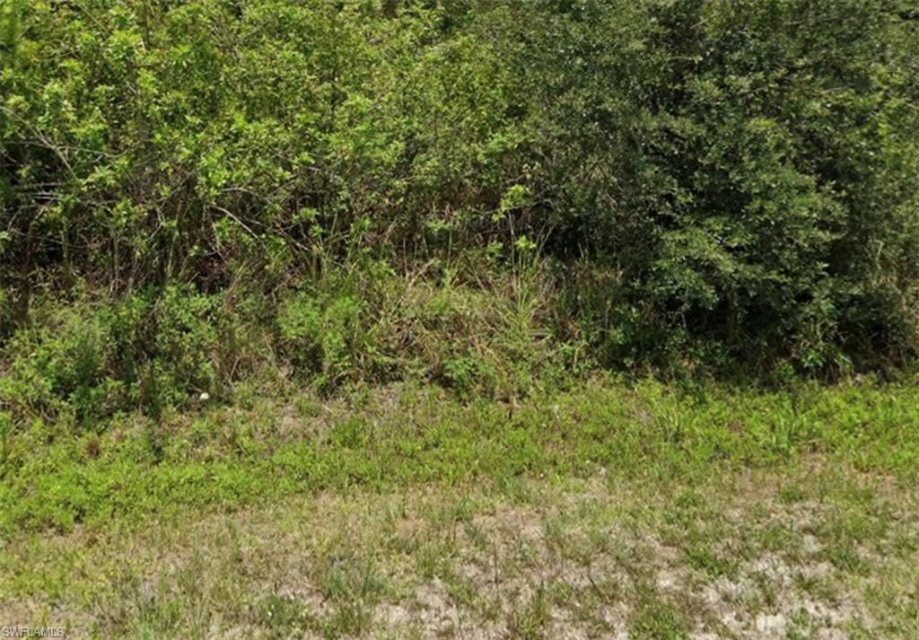 MLS #2025021350 image #0