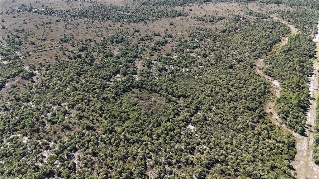 MLS #2025025559 image #0