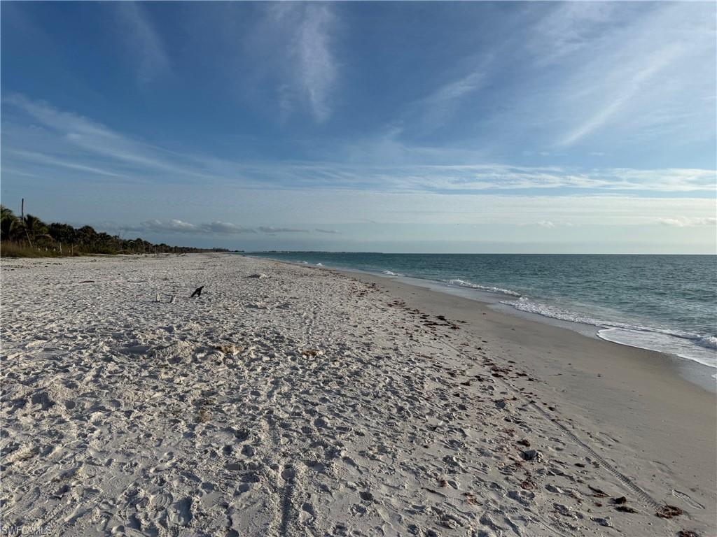 MLS #2026003178 image #0