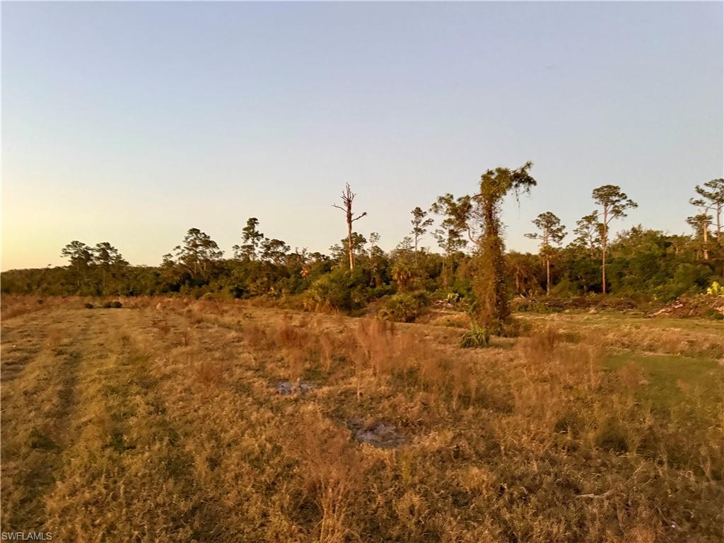 MLS #2026013421 image #0