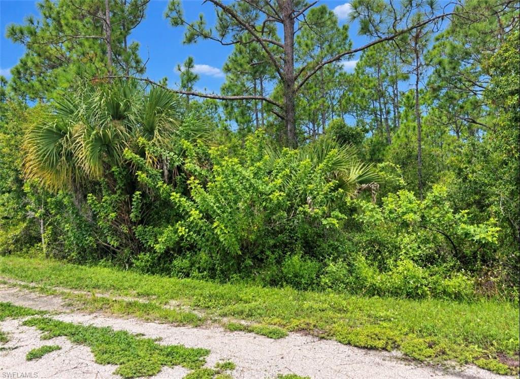 MLS #2026041418 image #0
