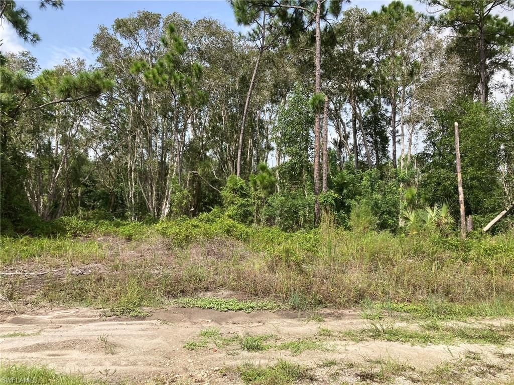 MLS #221064501 image #0