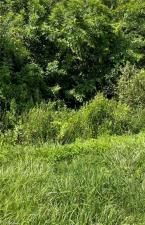 MLS #222005054 image #3