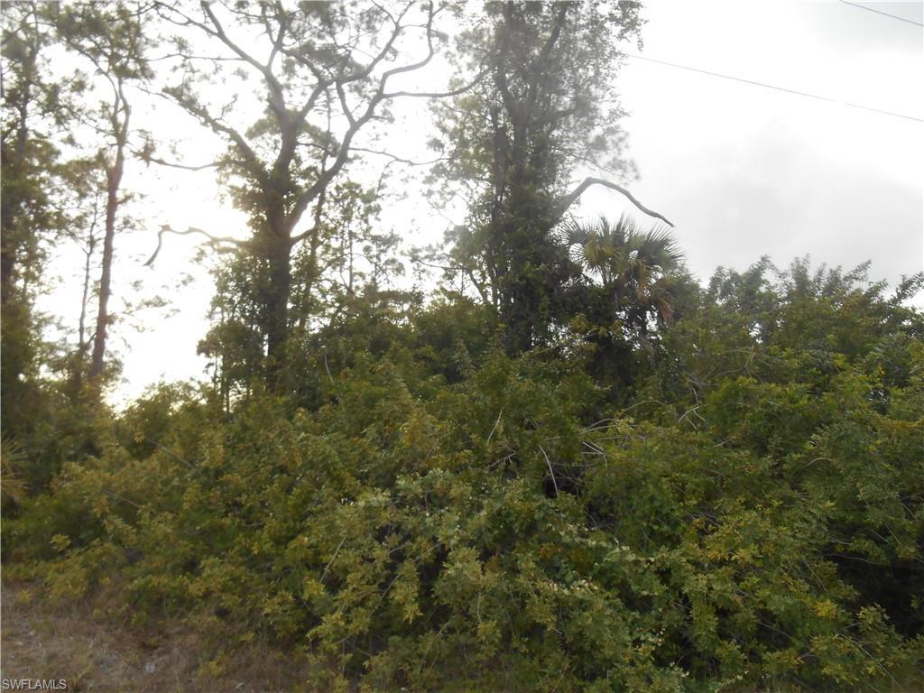 MLS #222028819 image #0