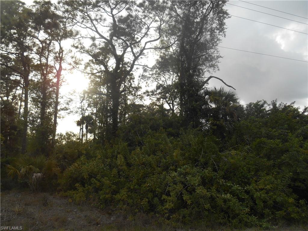 MLS #222028819 image #1