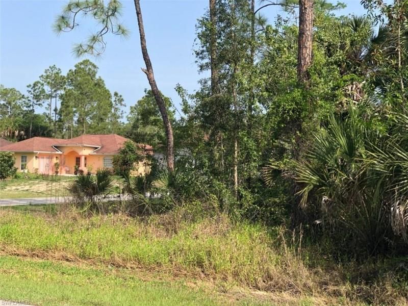 MLS #222030904 image #6