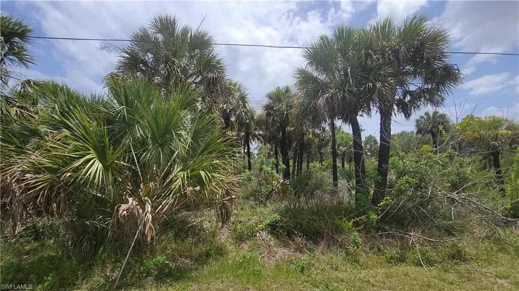 MLS #222038914 image #2