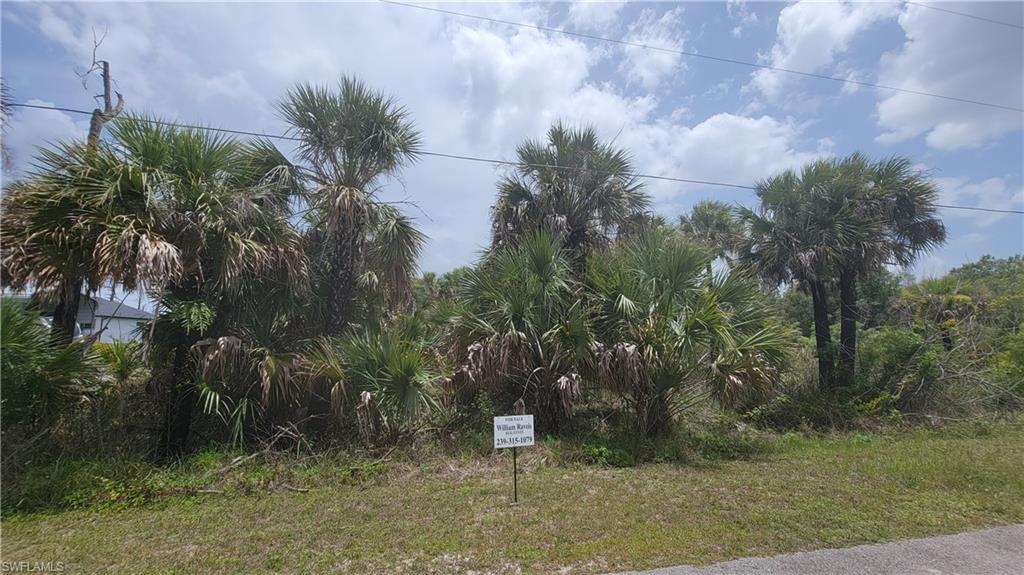 MLS #222038914 image #3