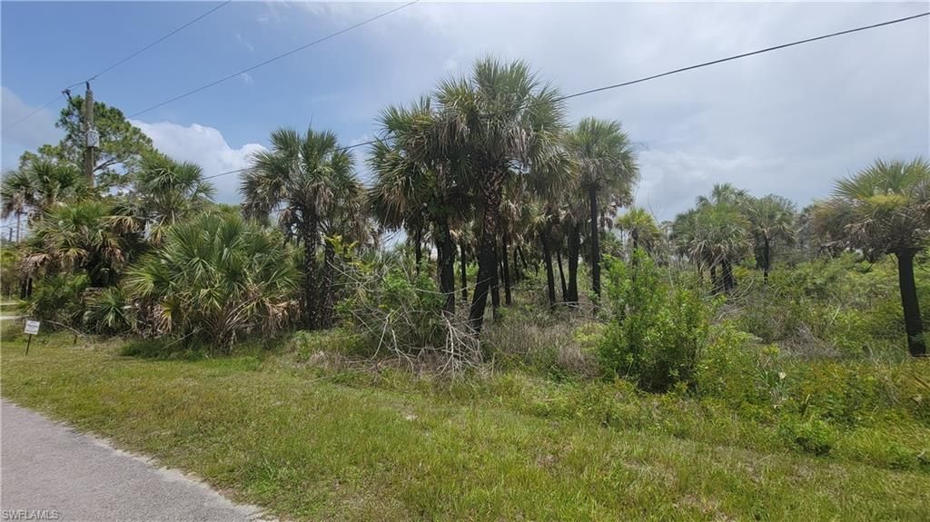 MLS #222038914 image #4