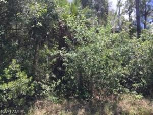 MLS #222052312 image #4