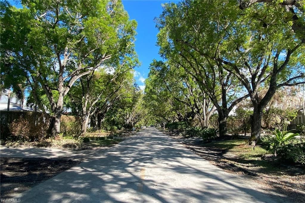 MLS #222078440 image #3