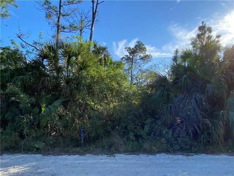 MLS #223001386 image #1