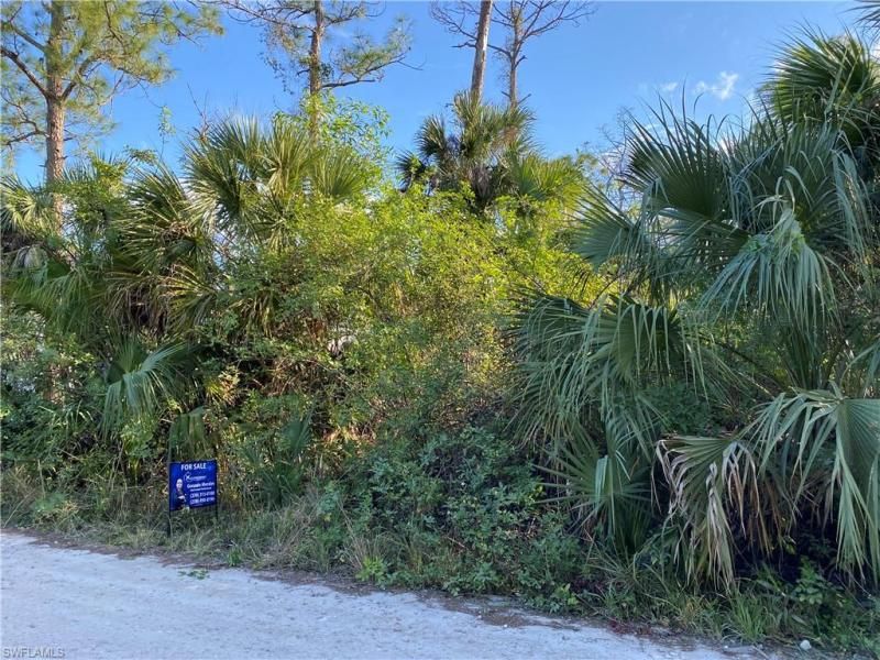 MLS #223001386 image #2