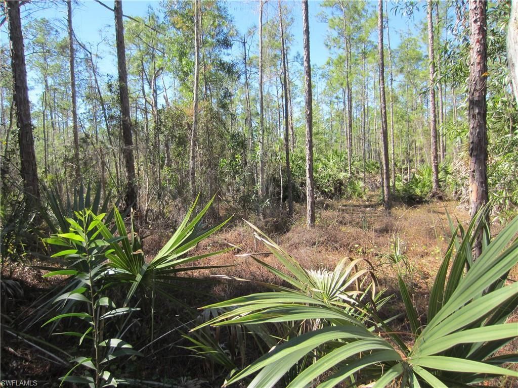 MLS #223001778 image #1