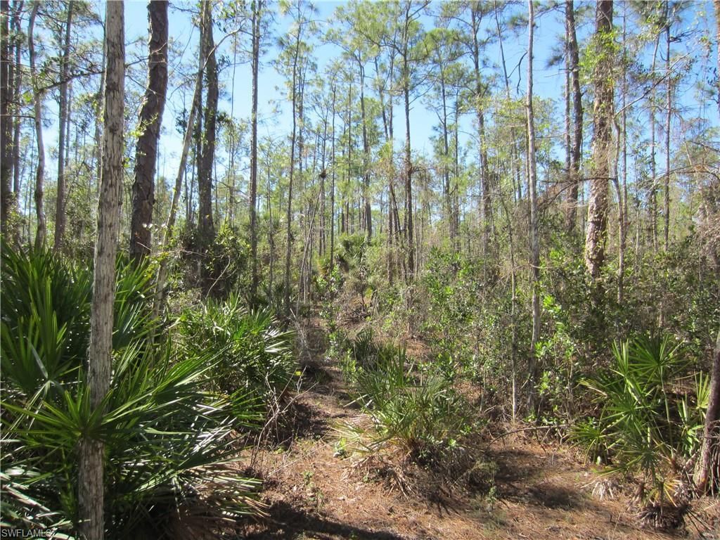 MLS #223001778 image #2