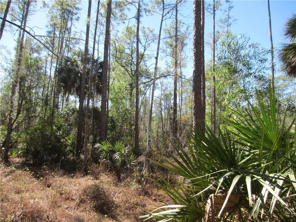 MLS #223001778 image #3