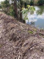 MLS #223017542 image #3