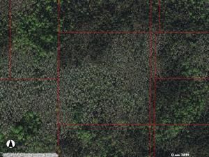 MLS #223019237 image #1