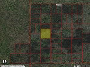 MLS #223019237 image #2