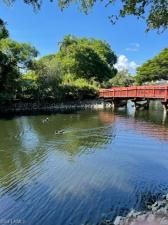 MLS #223021294 image #2