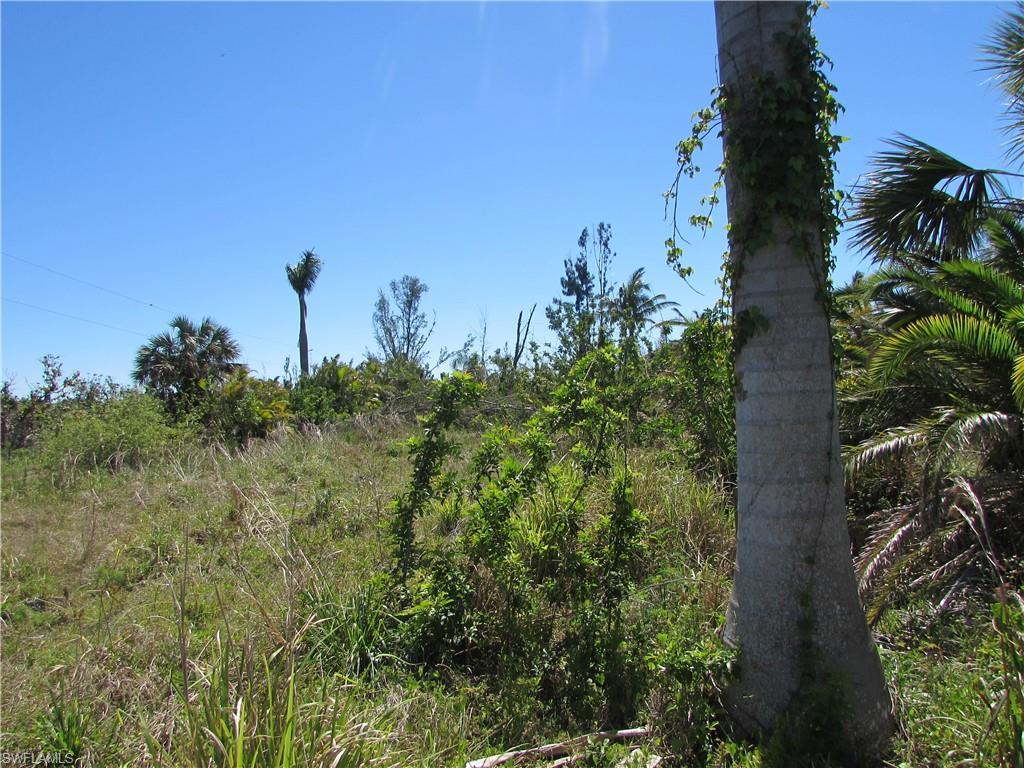 MLS #223022463 image #10