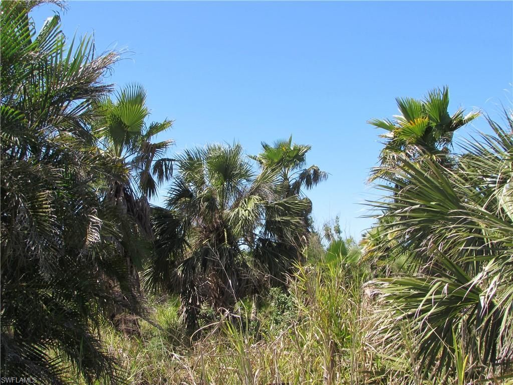 MLS #223022463 image #14