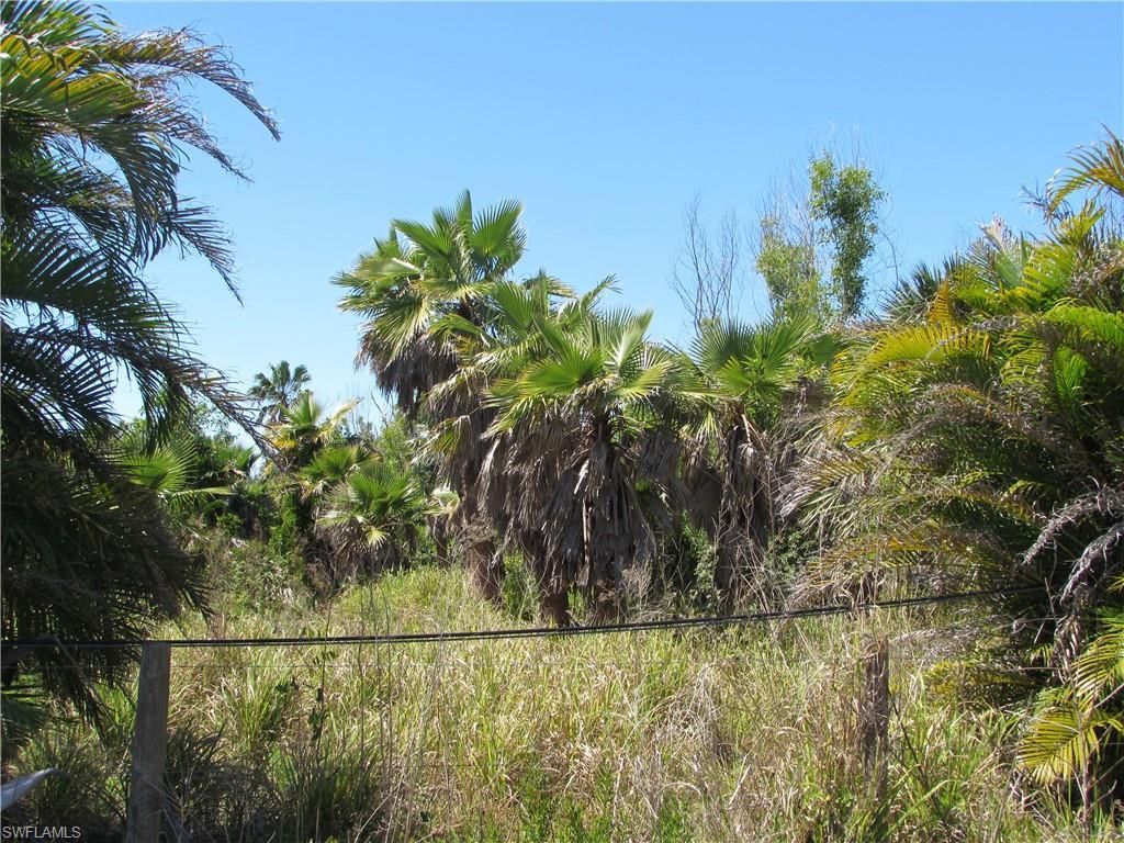 MLS #223022463 image #15