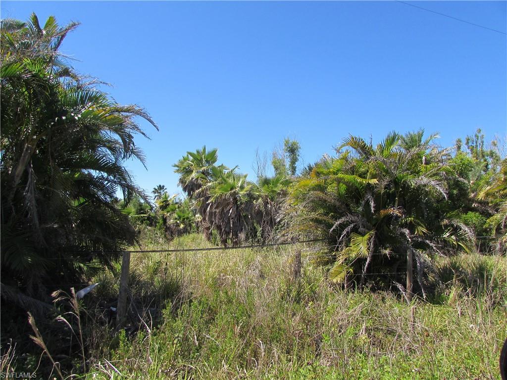 MLS #223022463 image #16