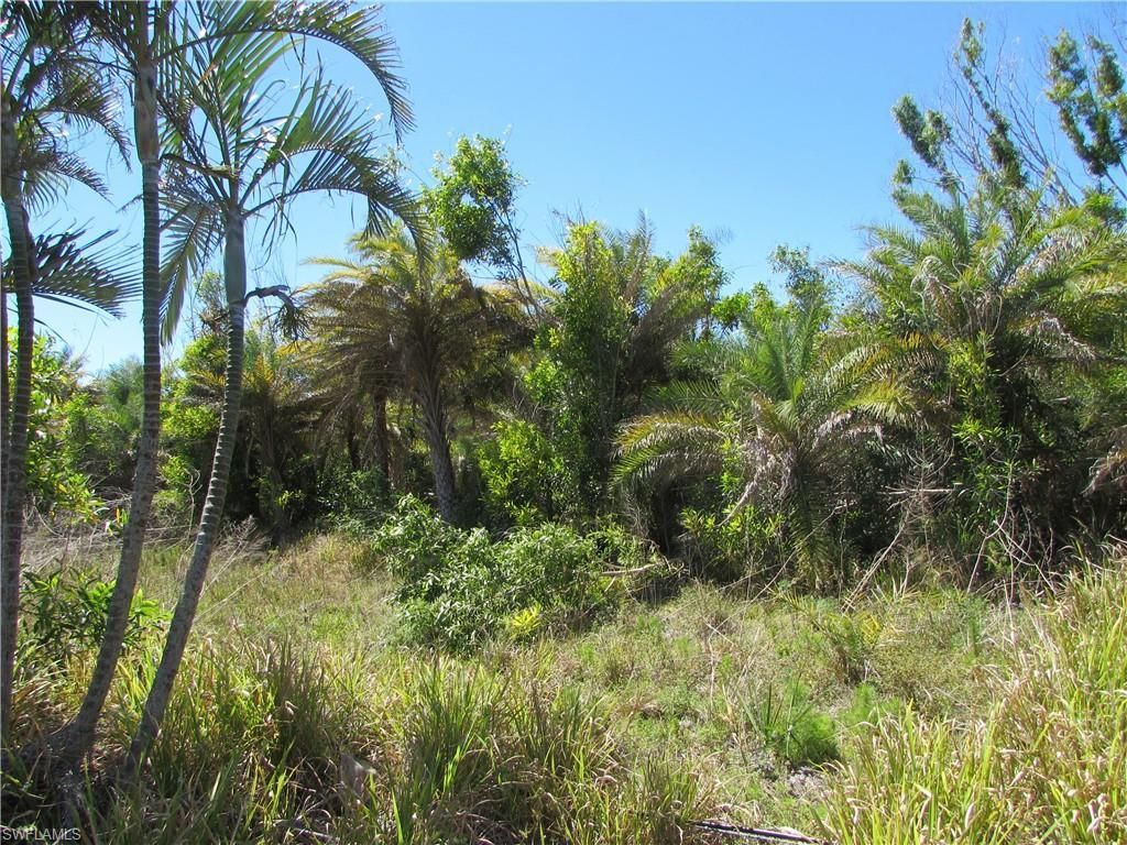 MLS #223022463 image #2