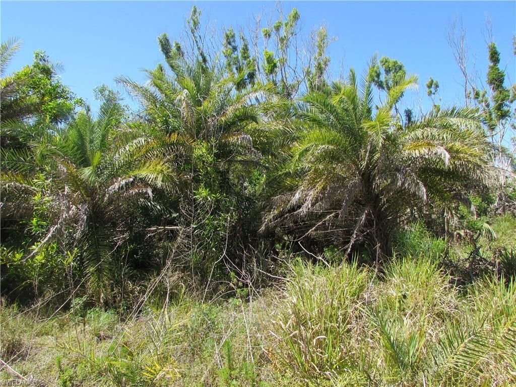 MLS #223022463 image #3